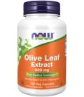 NOW FOODS OLIVE LEAF EXTRACT 500MG 120 VCAPS