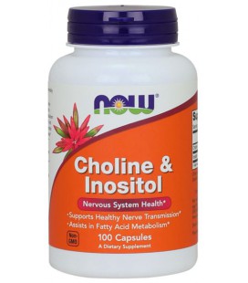 NOW FOODS CHOLINE & INOSITOL 250/250mg 100 CAPS