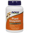 NOW FOODS PLANT ENZYMES 120 VCAPS