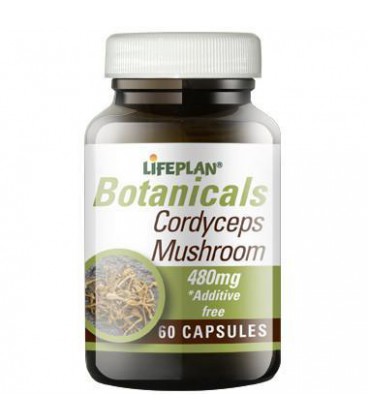 Lifeplan Cordyceps Mushroom 480mg 60kaps